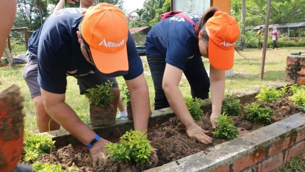 Alltech volunteers planting young trees
